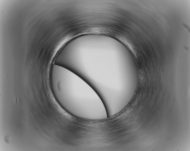 X0000096711091200802051032