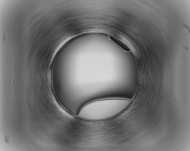 X0000096711092200802051032