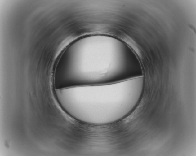 X0000096711093200802051032