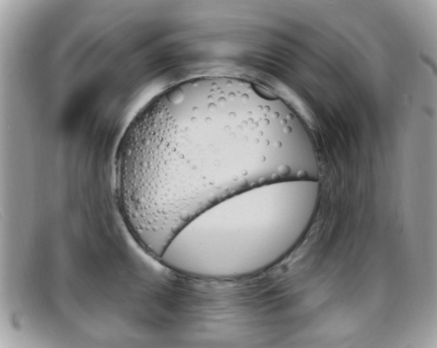 X0000096711095200802051032