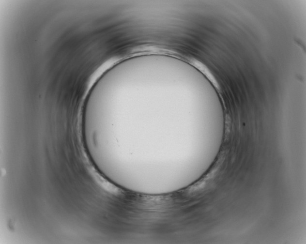 X0000096711098200802051032