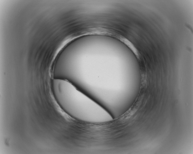 X0000096711099200802051032