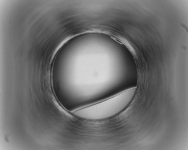 X0000096711100200802051032