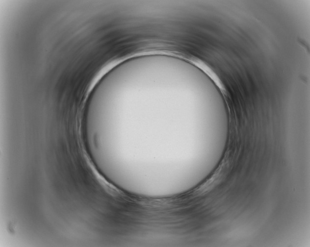 X0000096711101200802051032