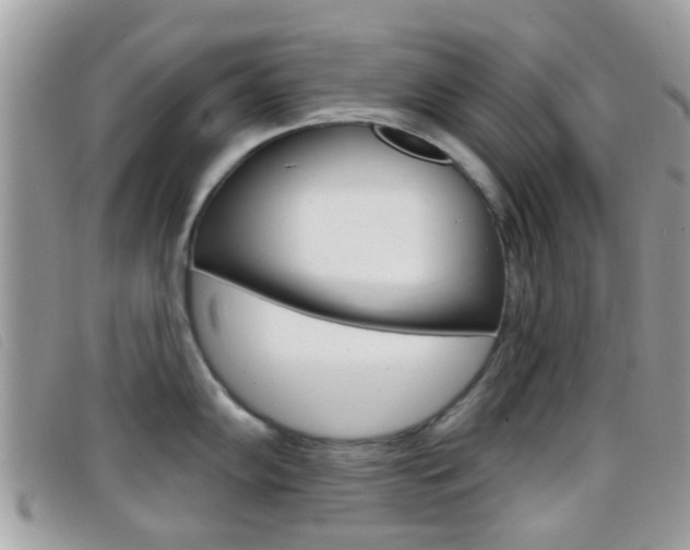 X0000096711102200802051032