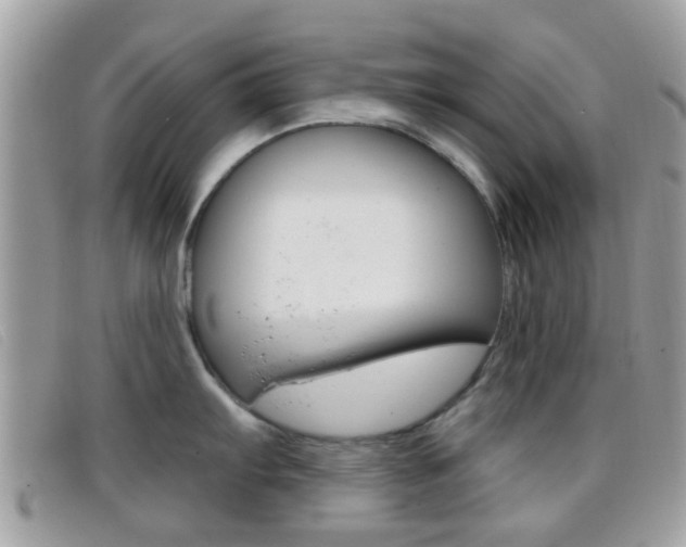 X0000096711103200802051032