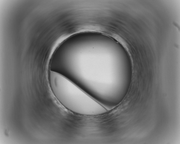 X0000096711104200802051032