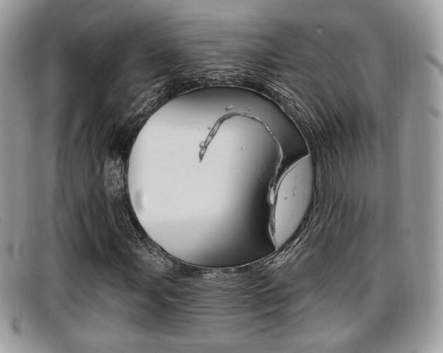 X0000096711107200802051031