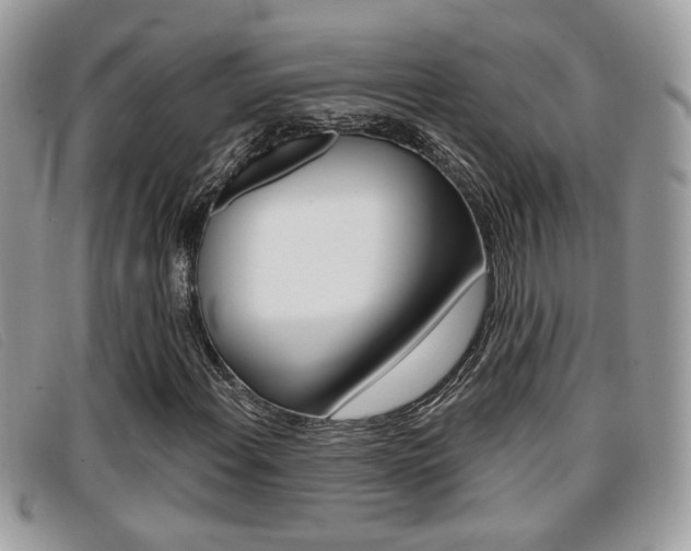 X0000096711108200802051031