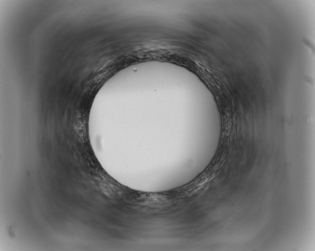 X0000096711109200802051031