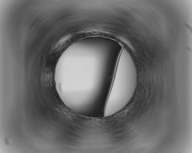 X0000096711111200802051031