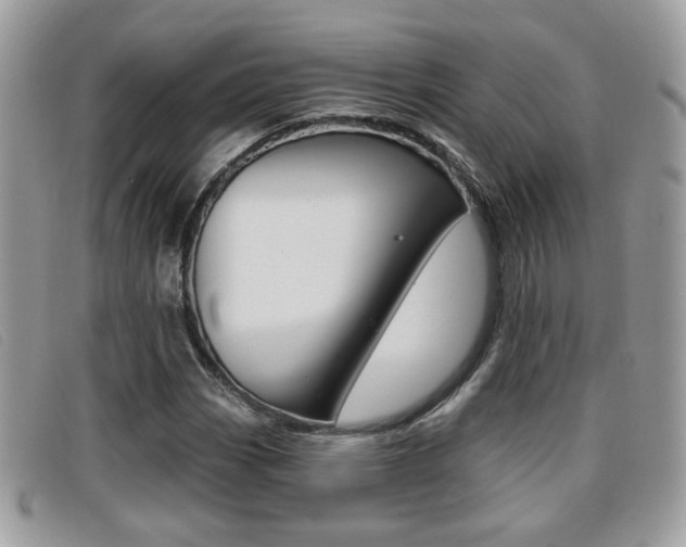 X0000096711113200802051031