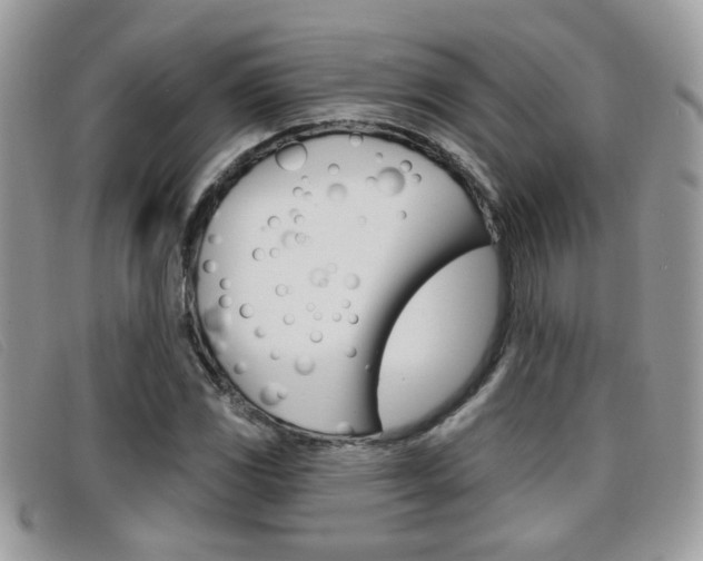 X0000096711117200802051031