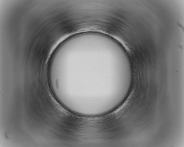 X0000096711118200802051031