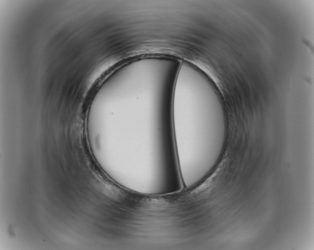 X0000096711119200802051031