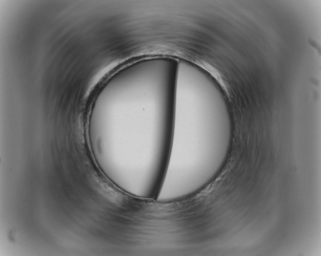X0000096711120200802051031