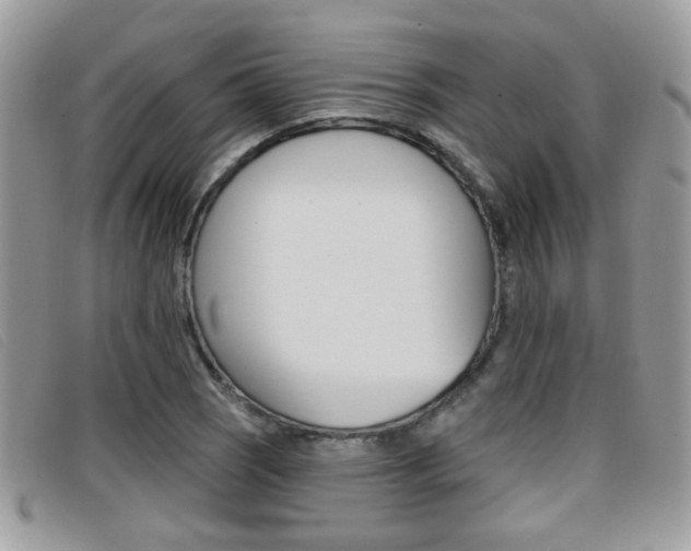 X0000096711121200802051031