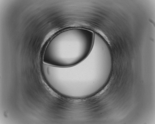 X0000096711122200802051031