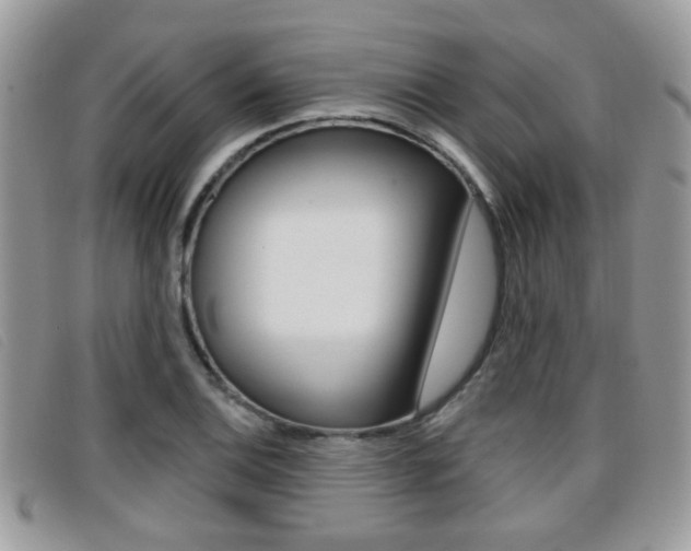 X0000096711124200802051031