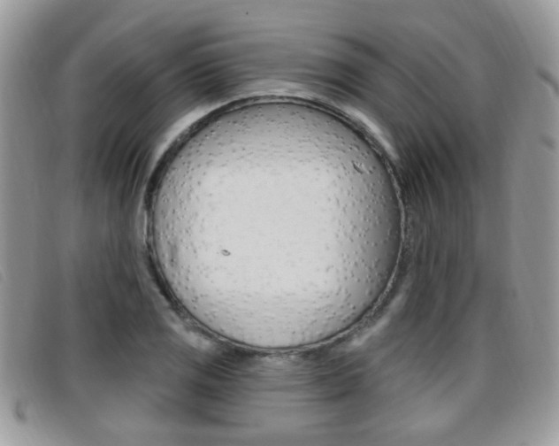 X0000096711125200802051031