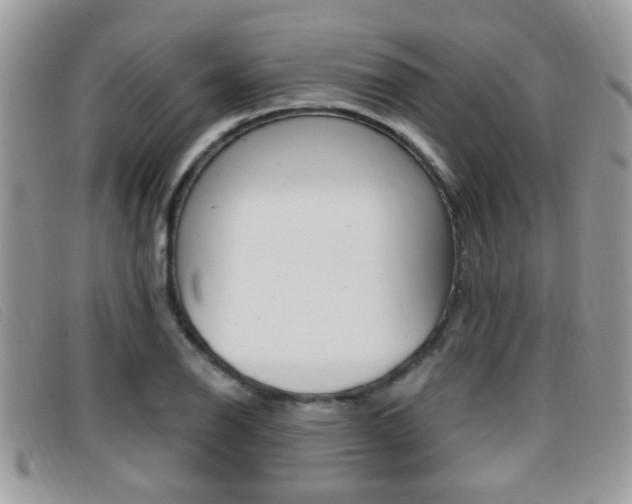 X0000096711126200802051031