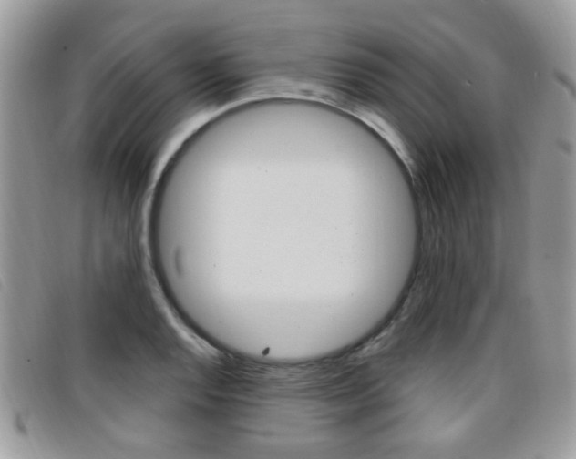 X0000096711128200802051031