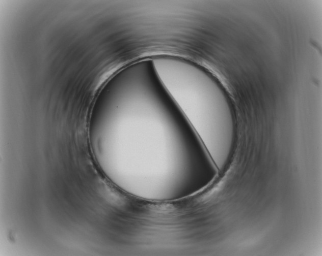 X0000096711129200802051031