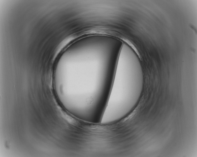 X0000096711131200802051031