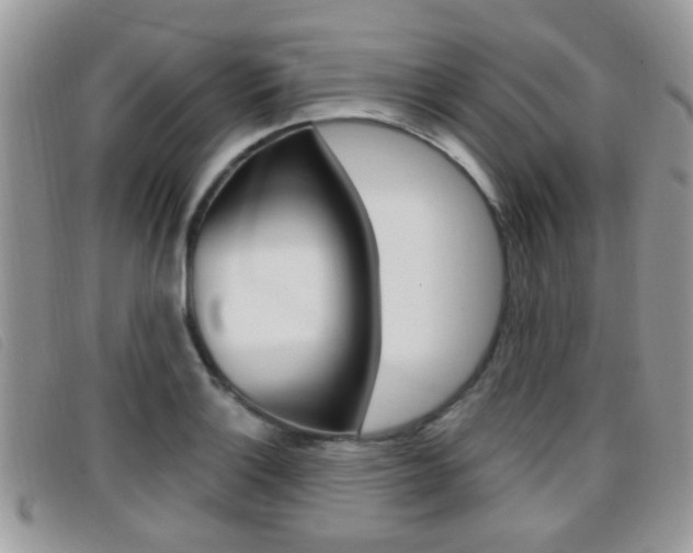 X0000096711132200802051031