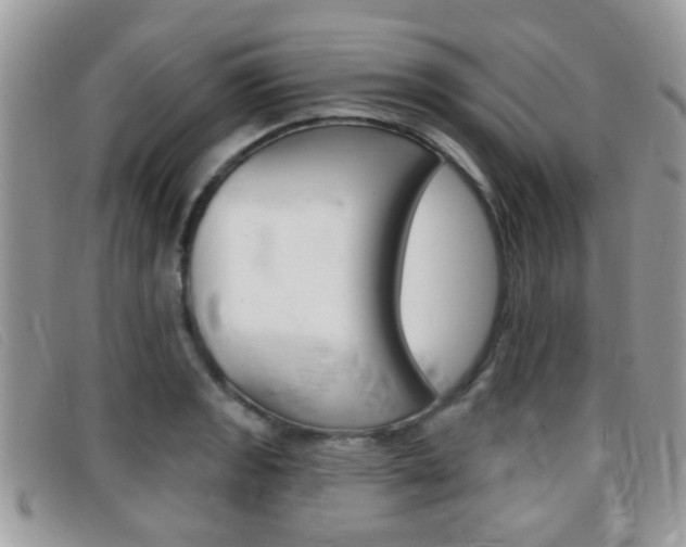 X0000096711133200802051031