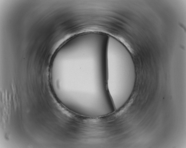X0000096711134200802051031