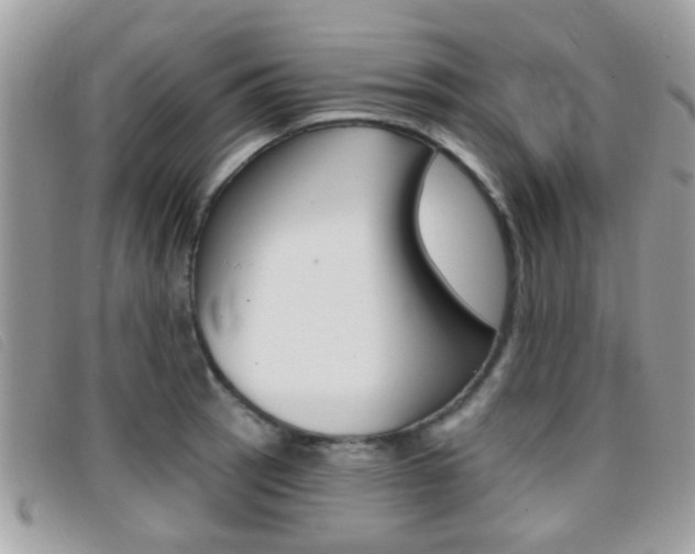 X0000096711137200802051031