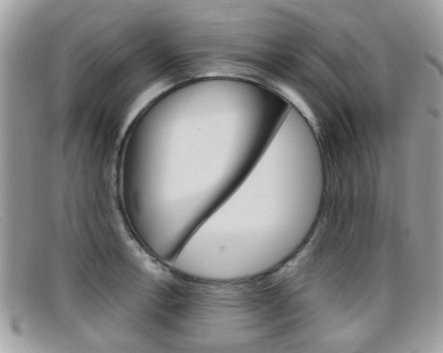 X0000096711138200802051031