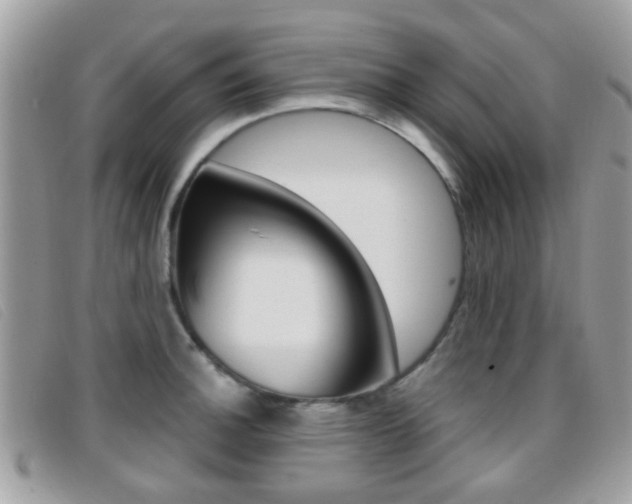 X0000096711140200802051032
