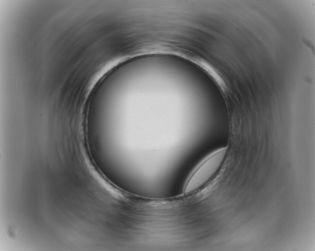 X0000096711142200802051032
