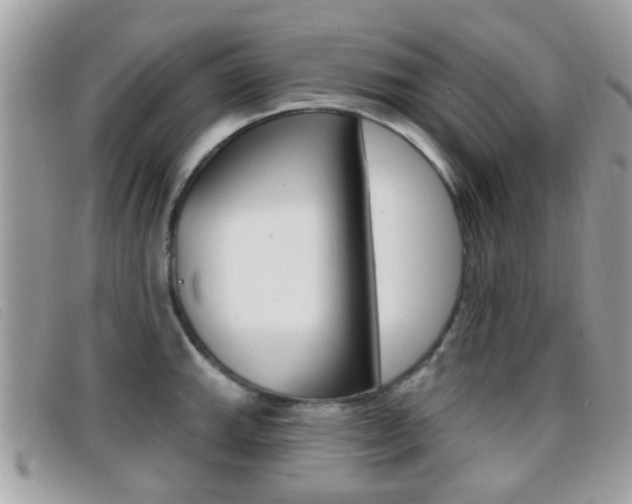 X0000096711143200802051032
