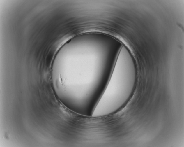 X0000096711145200802051032