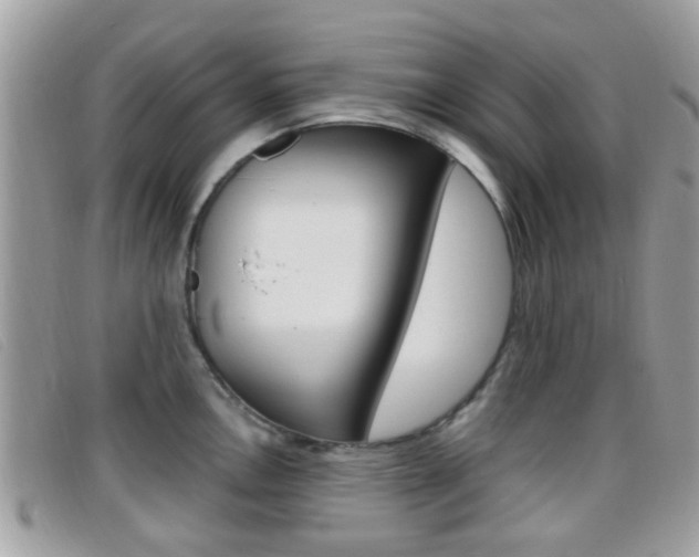 X0000096711146200802051032