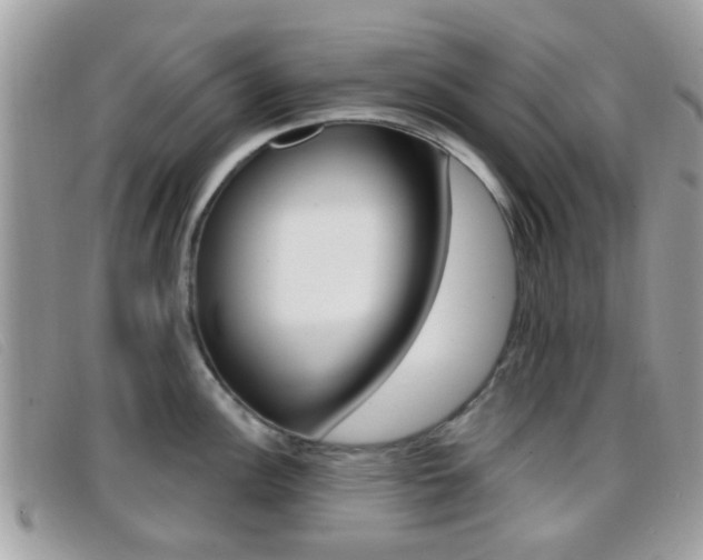 X0000096711148200802051032