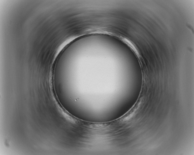 X0000096711149200802051032