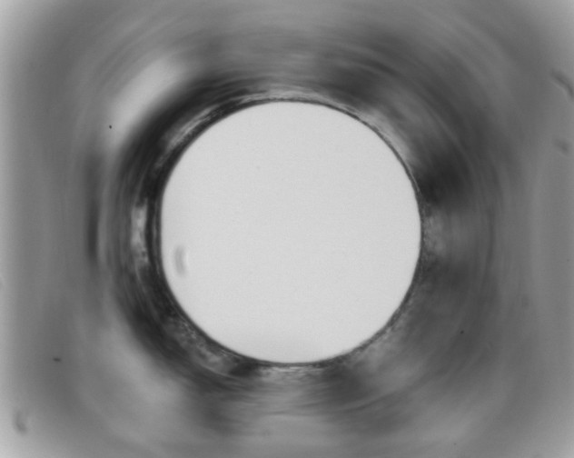 X0000096711150200802051032
