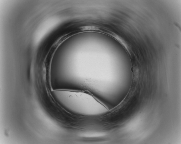 X0000096711151200802051032