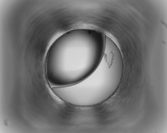 X0000096711152200802051032