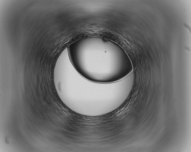 X0000096711156200802051031