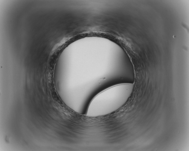 X0000096711159200802051031