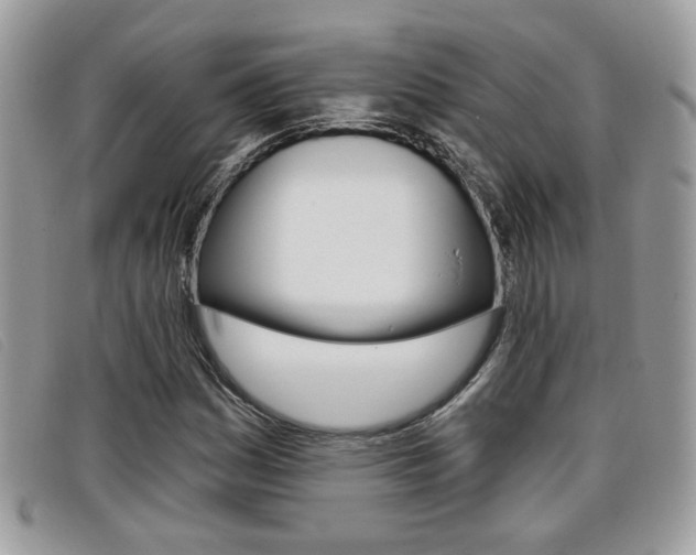 X0000096711161200802051031