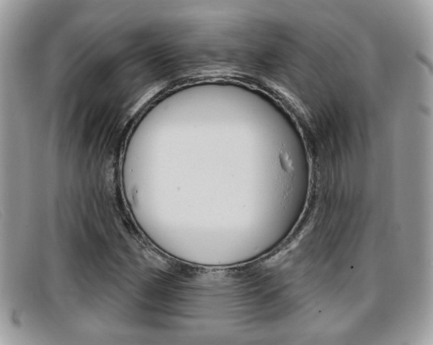 X0000096711162200802051031