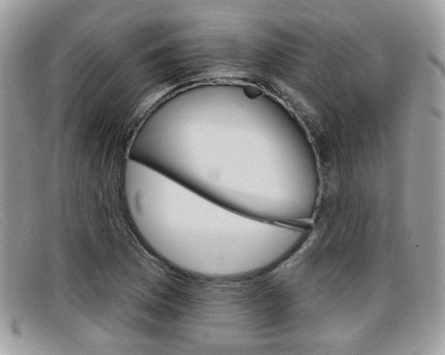 X0000096711169200802051031