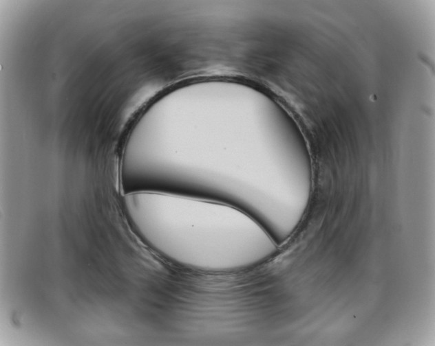 X0000096711171200802051031