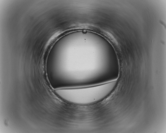 X0000096711172200802051031
